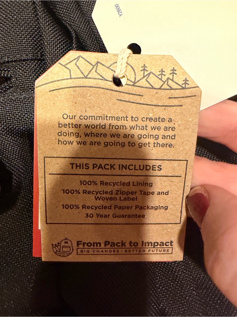 Jansport Black Backpack with Tan Suede Base - Picture 5 of 5